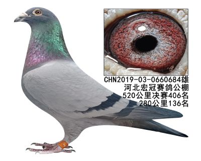 ��ڹ������406��