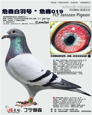 ղɭ̖(ho) * ղɭ019