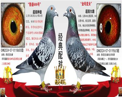 ³��600��X�ھ�Ů��