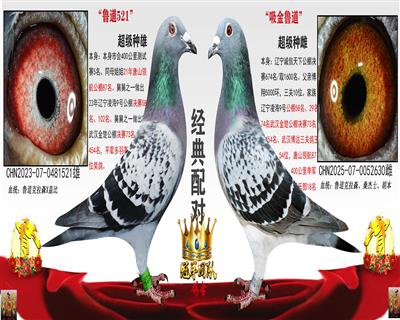 ³��5��X�������½���