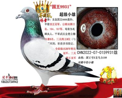 ����6666���ֱŮ