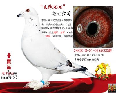 �ë�ţ�ë��5000