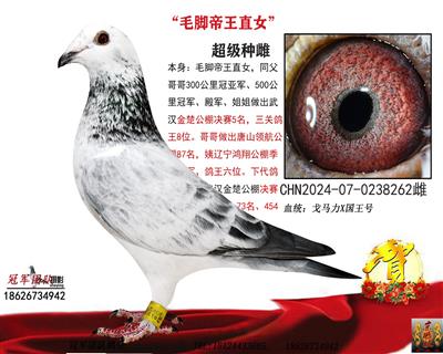 �ë�ţ�ë�Ž�ĸ����