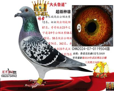 ����³������ͷ³��