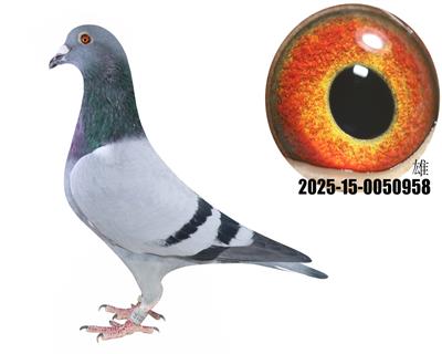 ţ55ֱţ280ֱŮţ