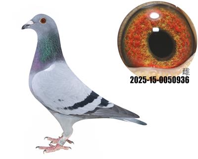 ¹ţֱӴţ280ֱŮ936