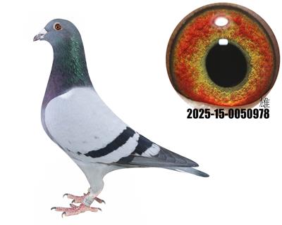 ¹ţֱӴţ280ֱŮ978