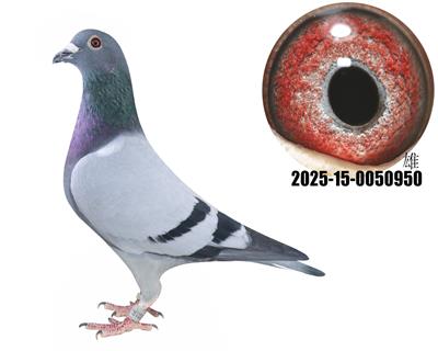 ţͷֱӴţ280ֱŮ