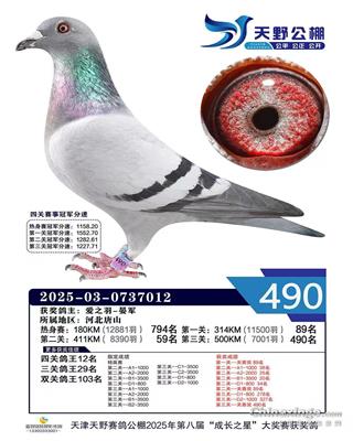 2025�������Ұ����ɼ���