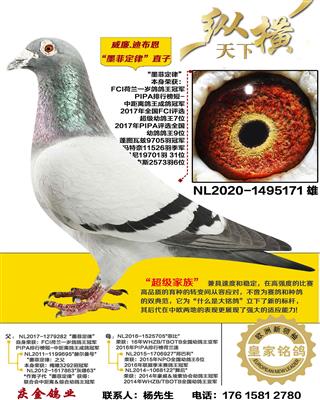 ����.�ϲ���ī�ƶ���ֱ��