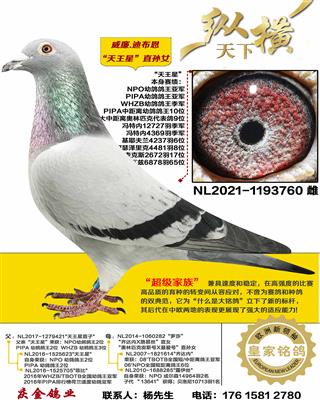 ����.�ϲ���������ֱ��Ů