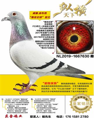 �����ϲ���  ī�ƶ���ֱŮ