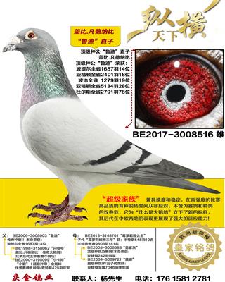 �Ǳ� ³��ֱ��