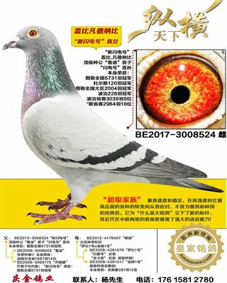 �Ǳ� ������ֱŮ