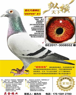 �Ǳ� ��������ŷֱ��