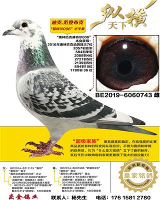 ����ƥ�˻��ض�006 ��ƽ��