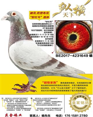 �Ͽ�.���ǲ��� �ú��ֱ��