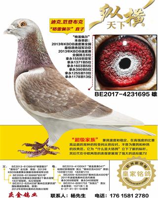 �Ͽ�.���ǲ��� ������ ֱ��