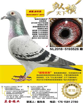 �����ϲ��� ����ƥ��쫷�� ֱ��Ů