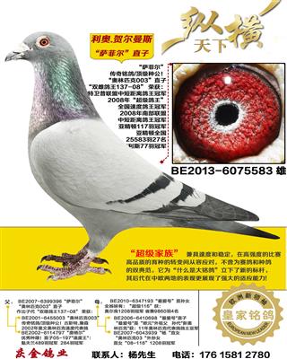 ����.�ض���˹ ���ƶ�ֱ��