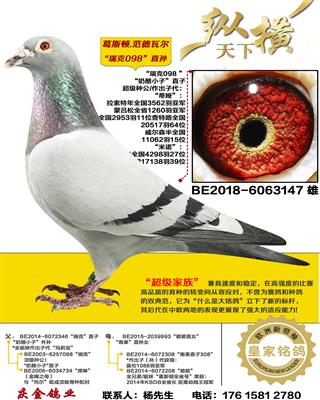 ��˹��.�����߶� ���098 ֱ��