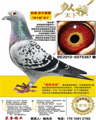 ����.�ض���˹ ������ֱ��