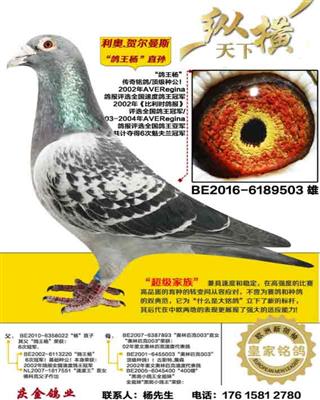 ����.�ض���˹ ������ֱ��