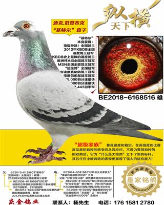 �Ͽ�.���ǲ��� ���ض�ֱ��