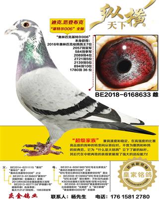 ����ƥ�˻��ض�006ȫ��