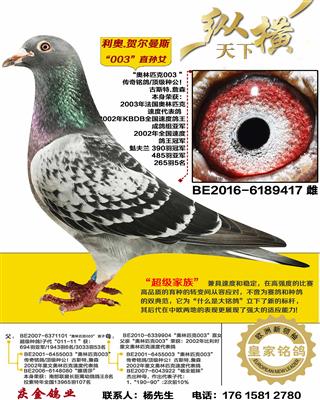 ����.�ض���˹ 003ֱ��Ů