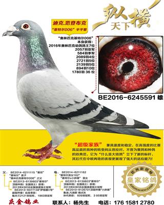 ����ƥ�˻��ض�006��ƽ��