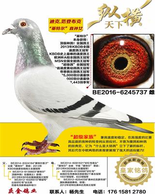 �Ͽ�.���ǲ��� ���ض�ֱ��Ů