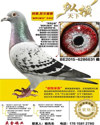 ����.�ض���˹ �λ���� ����Ů