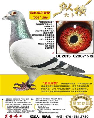 ����.�ض���˹ 003ֱ��