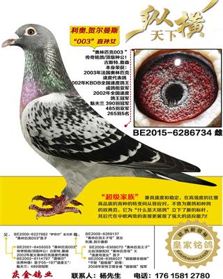 ����.�ض���˹ 003ֱ��Ů