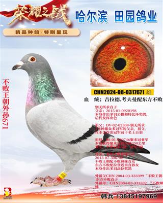 ������������671