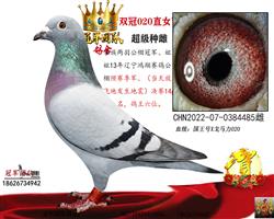 �۸�ĸ��һ���＾����