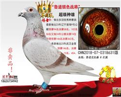 �Ƹ븸��һ��ɫս��