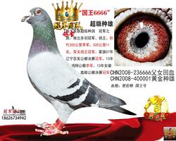 �۸��游һ����666