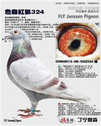 ��ĸ����