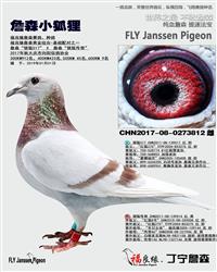 ��ĸ����