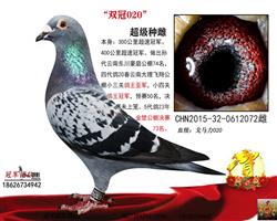 �۸�ĸ��һ˫��020