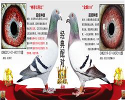 �Ƹ븸ĸ��Ƭ����