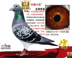 ��һ����12��