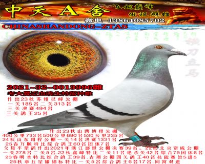 ����������֮ĸ