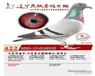 �����ڳǹ���