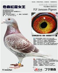 ��ĸ����