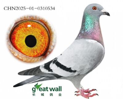 �¸��׵��Z��