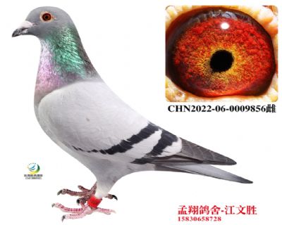 ���\(ch��ng)����398��OŮ