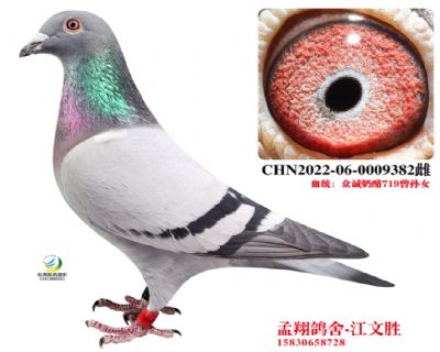 ����719���OŮ